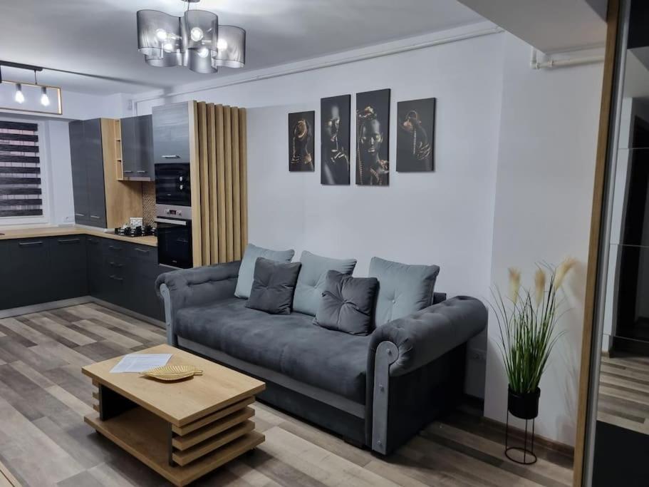 Luxury Apartments Bacău Eksteriør bilde